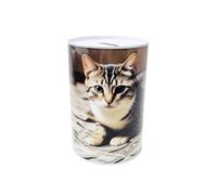 Hucha en lata de metal no se puede abrir con imagen de gato, 16 x 12 cm