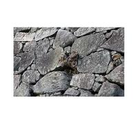 HUDFVIOI Fondo Acuario 1 Rollo de Fondo de Acuario de Piedra Negra con Efecto 3D, póster HD de Piedra de Roca, Fondo Autoadhesivo for pecera para decoración(Red Color,30x40cm)