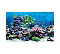 HUDFVIOI Fondo Acuario Póster de decoración de pecera de PVC, Fondo 3D de Doble Cara for Acuario, Plantas oceánicas, Pintura de Paisaje, Pegatina, Adorno Decorativo para decoración(White,30x61cm)