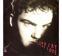 Hue & Cry - Labour Of Love