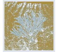 Huerco S. - For Those of You Who Have Never (2lp) [Vinilo]