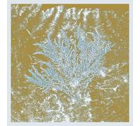 Huerco S. - Huerco S. - For Those Of You Who Have Never (And Also Those Who Have) - Proibito - PRB018