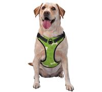 Huesos de Pata de Perro Verdes,Arnés para Mascotas, arnés Reflectante Ajustable para Perros,M