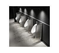 HUFIREHU Separador De Urinarios ParticióN De Urinario De Vidrio Templado Mamparas Sanitarias para Urinarios Separador Impermeable para Hombres para Restaurante, Hotel(Silver,40 * 100cm/15.7 * 39.4in)