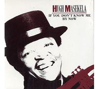 Hugh Masekela - If You Don't Know Me By Now