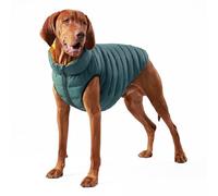 HUGO & HUDSON x Hackett Chaqueta Acolchada Reversible para Perros, Abrigo cálido de Invierno, Verde Bosque y Dorado, S30