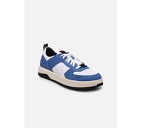 Hugo Kilian_Tenn_pume 42 Azul