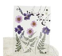 Hugsweet Marco de Flores Secas - Arte de Pared Rectangular Hecho a Mano,Marco Flotante con Flores Prensadas,para Salón, Oficina, Dormitorio, Baño, Tocador, Bodas y