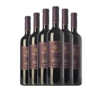 Huguet de Can Feixes Negre Selecció Penedès Joven 75 cl Vino tinto (Caja de 6 Botellas de 75 cl)