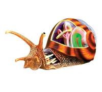 HUIBBGO Modelo anatómico de Caracoles 4D Vision, Modelo de anatomía Animal, Juguete de Rompecabezas de simulación de Caracoles, 32 cuerpos y Partes Desmontables del Modelo para enseñar Bio