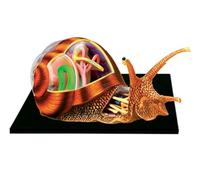 HUIBBGO Modelo de Esqueleto anatómico de Caracol en 4D, anatomía Animal con 32 cuerpos y Partes extraíbles. Modelo anatómico para lecciones de biología. Modelo didáctico de anatomía Animal
