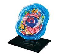 HUIBBGO Modelo didáctico Desmontable 4D de célula Animal, Modelo anatómico de sección Transversal, Rompecabezas para armar, Modelos didácticos de biología de células Animales