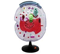 HUIBBGO Modelo didáctico Desmontable Modelo Transparente de célula Vegetal Modelos didácticos de biología Desmontables Modelo de anatomía Celular en sección Transversal Ayuda didáctica Ana