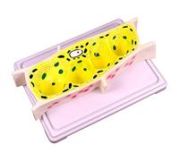 HUIBBGO Modelo didáctico: Modelo de célula epidérmica de Cebolla, Modelo de Aumento estándar para microscopio, Modelo de célula Vegetal. Modelos didácticos de biología para la enseñanza.