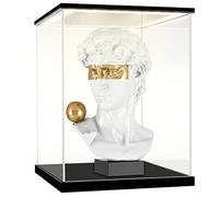 Huijintao Vitrina Expositora para Colecciones, Caja Metacrilato Transparente con luz LED, Vitrina Metacrilato, Urna Metacrilato Expositor Vitrina para Colecciones, Miniaturas, Figuritas (25x25x35 cm)