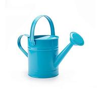 HUIKJI Regadera de hierro, 1,5 l, para exteriores, antióxido, portátil, de metal, para riego rústico, para jardín, hogar, plantas, flores