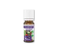 Huile essentielle Bio Gaulthérie 10 ml