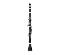 HUIOP Clarinete Bb plano de 17 teclas ABS con funda de transporte, guantes, paño de limpieza, Mini destornillador, estuche de caña, 10 Uds., instrumento de viento de madera
