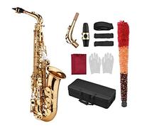 HUIOP Lade Saxofón EB E Latón Plana Patrón Tallado en Superficie de Plástico Boquilla Exquisito con los Guantes de Paño Limpieza Cepillo Correas,Boquilla