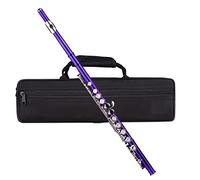 HUIOP Orificio cerrado Flauta C 16 teclas Cuproníquel Instrumento de viento niquelado con estuche de transporte Soporte para flauta Guantes Paño de limpieza Mini destornillador Varilla de limpieza