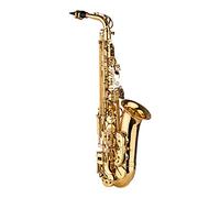 HUIOP Saxofón Alto AS100 Eb instrumento de viento saxofón Alto lacado de latón con estuche de transporte guantes correas paño de limpieza cepillo