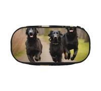 HUIopq Trotting Retrievers - Estuche para lápices de gran capacidad, con revestimiento plano, versátil, para escuela, oficina, maquillaje, viaje, accesorio, Black, Talla única, Organizador de bolsas