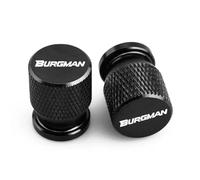HUISI Compatible con Suzuki BURGMAN 650, 400, 125, 200, 250, AN650, AN400, válvula de neumático de motocicleta, tapa de válvula de aire, accesorios de aluminio.(BURGMAN Black)