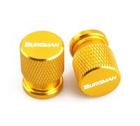 HUISI Compatible con Suzuki BURGMAN 650, 400, 125, 200, 250, AN650, AN400, válvula de neumático de motocicleta, tapa de válvula de aire, accesorios de aluminio.(BURGMAN Gold)