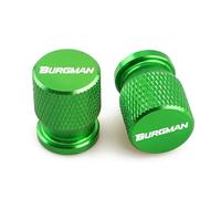 HUISI Compatible con Suzuki BURGMAN 650, 400, 125, 200, 250, AN650, AN400, válvula de neumático de motocicleta, tapa de válvula de aire, accesorios de aluminio.(BURGMAN Green)