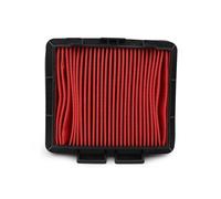 HUISI Limpiador de admisión de filtro de aire for motocicleta compatible con CRF230L 2008-2010 FTR223 1999-2014 CRF250M 2009