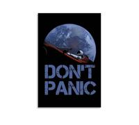 HUIWREYWQRO Póster de Dont Panic, pintura artística para sala de estar, dormitorio, decoración de pared, lienzo de 30 x 45 cm, estilo sin marco