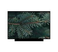 HUIYXZZUE Compatible con Pantalla LCD Predator, Triton 500 PT515-51-71PZ | Compatible con Acer, 15,6 pulgadas, 144 HZ, NV156FHM-N4K, matriz LED delgada, pantalla LCD