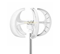 HUIZHITENGDA 24v, Generador de turbina eólica de Eje Vertical pequeño de 6000W-9000W, 12V 24V 48V con MPPT Baja Velocidad de Inicio del Viento con Controlador (Blanco)