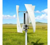 HUIZHITENGDA Aerogenerador Vertical Espiral de 4000W 12V/24V/48/V220V