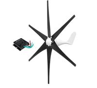 HUIZHITENGDA Aerogenerador Vertical Residencial de 3500W, Molino de Viento 220V 24V 48V con Controlador de Carga, Bajo Ruido, Generador de Turbina Eólica de 6 Aspas para Granjas y Playas,12V