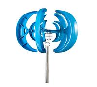 HUIZHITENGDA Kit de turbina eólica de levitación magnética doméstica de 5 aspas, 10000W sin Ruido, turbina eólica Vertical 12V-220V con Controlador para iluminación del hogar y jardín,24v