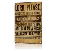 HUJWLBWF Aluminum Funny Quote Metal Sign Vintage Look Lord Correct Me When I’m Wrong Saying Rust Resistant Print For Study Room Wall 8 X 12 in