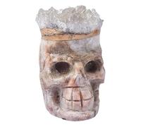 HUJWLBWF Crystal Skull with Clear Quartz Cluster - Handcrafted Gemstone Art for Halloween Décor, or Gift