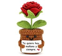 HUKUMA Rosa Eterna de Ganchillo, Regalos Aniversario para Parejas, Románticos para Decir Te Amo Quiero para Novia o Mujer Valentín, Sant Jordi o Cumpleaños