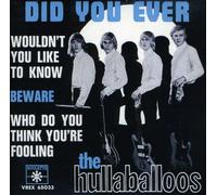 Hullaballoos - Did You Ever