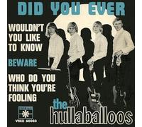 Hullaballoos - Did You Ever