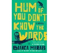 Hum If You Dont Know The Words (ebook)