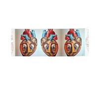 Human Anatomy Heart Chart - Bufanda con flecos de cachemira, ligera, para mujer, envolturas cuadradas, satén suave para otoño e invierno