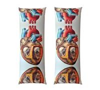 Human Anatomy Heart Chart - Funda de almohada de cuerpo largo de 50,8 x 152,4 cm, forro de cama acogedor y cómodo, decoración del hogar, experiencia decorativa