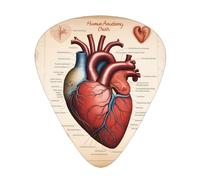 Human Anatomy Heart Chart WZYWHJ Prints Púas de guitarra ABS, 12 piezas, púas de fácil agarre para tu bajo, ukelele, guitarra acústica o eléctrica