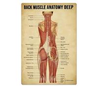Human Back Anatomy Poster | Focus on Deep Muscle Layers, Origins & Insertions | Educational Wall Art for Physical Therapy Clinic, Gym or Yoga Studio(Unframed,08x12inch(20x30cm))