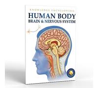 Human Body: Brain and Nervous System (Knowledge Encyclopedia for Children)