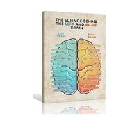 Human Brain Anatomy Poster Educational Science Chart for Classroom School Biology Psychology Lab Wall Decor(Unframed,12x18inch(30x45cm))