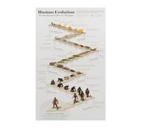 Human Evolution Educational Chart from Early Life Forms to Sapiens Timeline Poster Science Wall Art for Home Office School Decor(Framed,16x24inch(40x60cm))