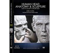 Human Head Anatomy & Sculpture
